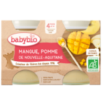 BABYBIO PETIT POT MANGUE