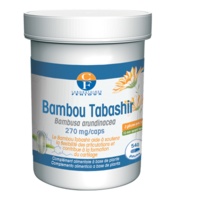 bambou-tabashir-G145.png FENIOUX BAMBOU TABASHIR – Image 1